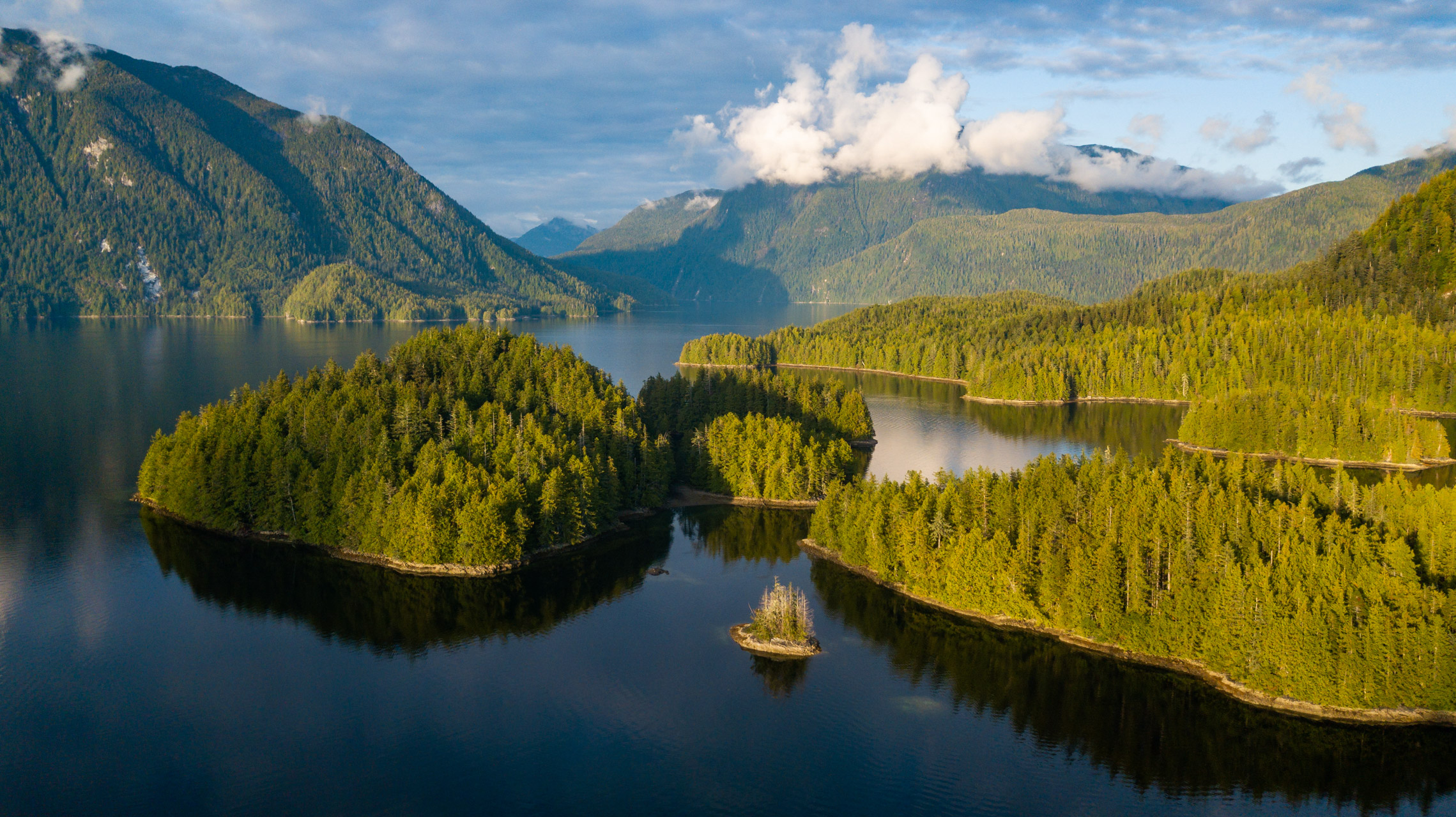 Great Bear Rainforest - Kanada