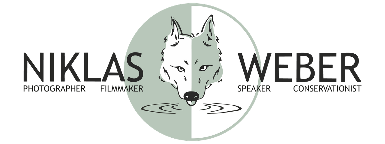 Logo Niklas Weber Naturfotograf Filmemacher Sprecher Referent Naturschützer